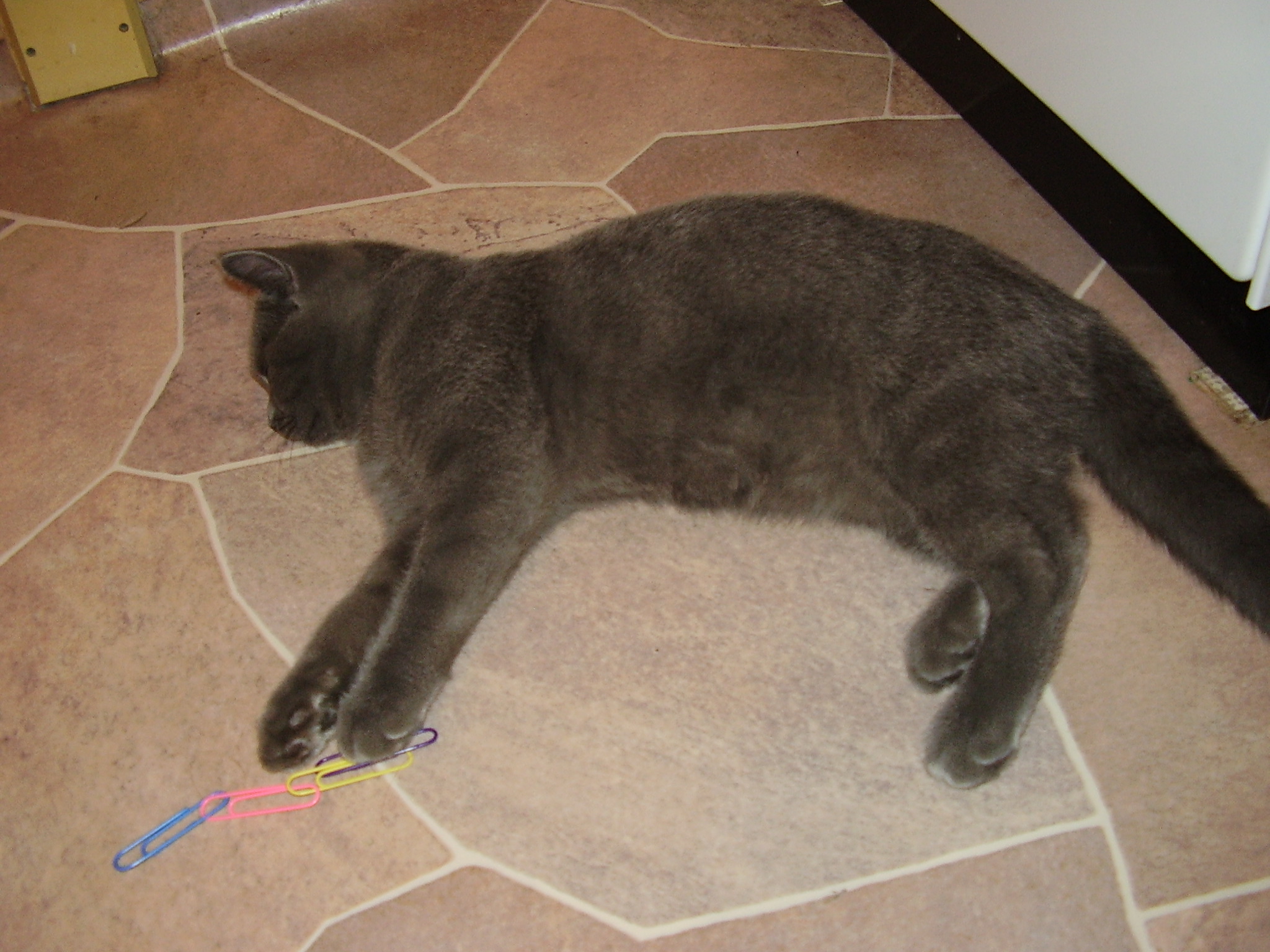 PB190369.JPG
