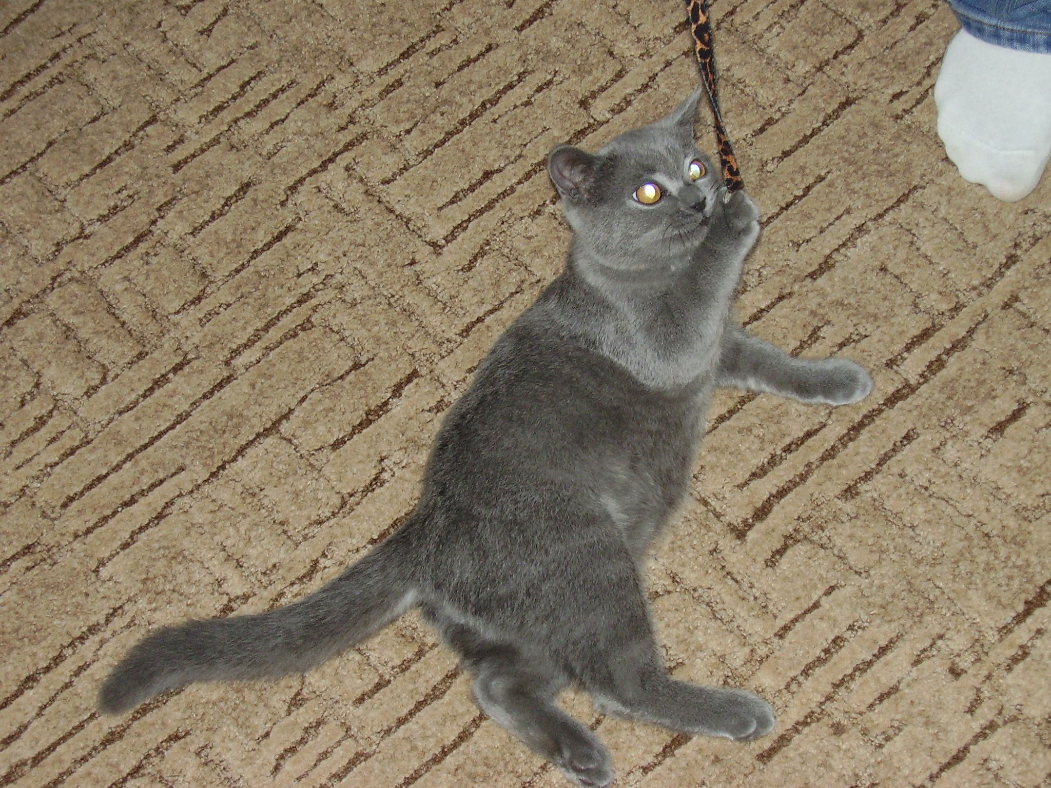 PB070287.JPG