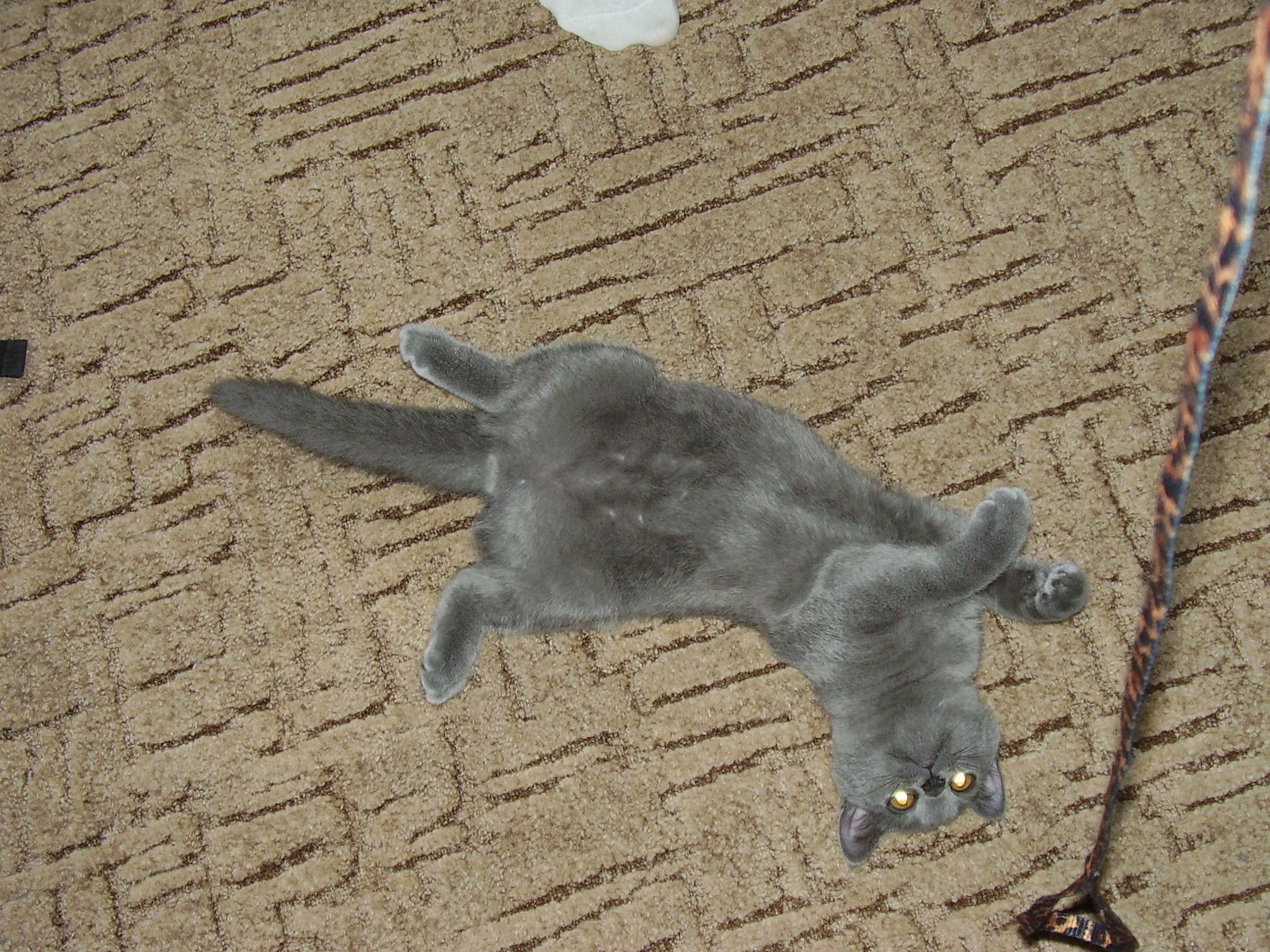 PB070289.JPG
