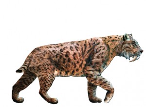 Obrazek